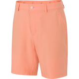 CANTALOUPE