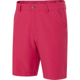NANTUCKET RED